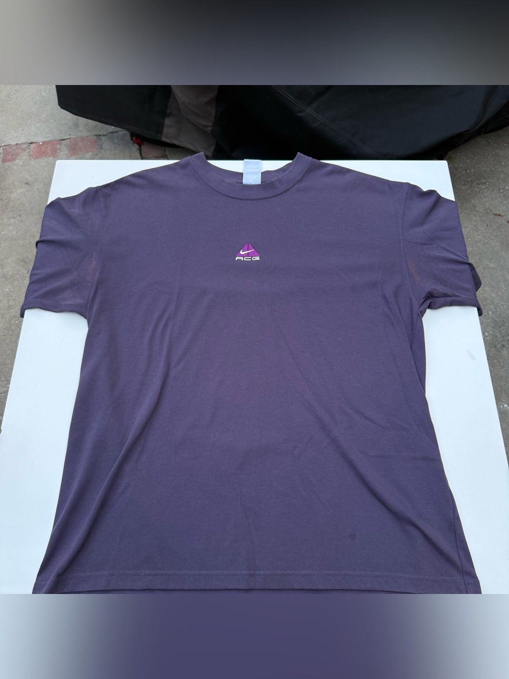 Nike ACG Men's Purple Oversized Logo Tee